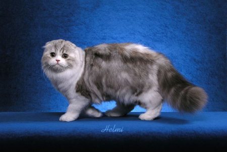 839